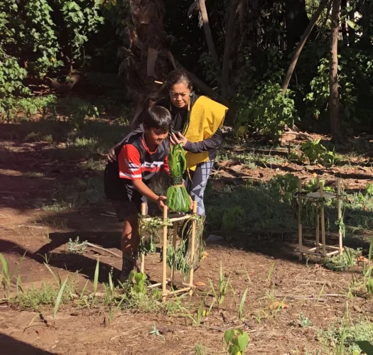 Volunteers join effort to protect Lā‘ie wetlands